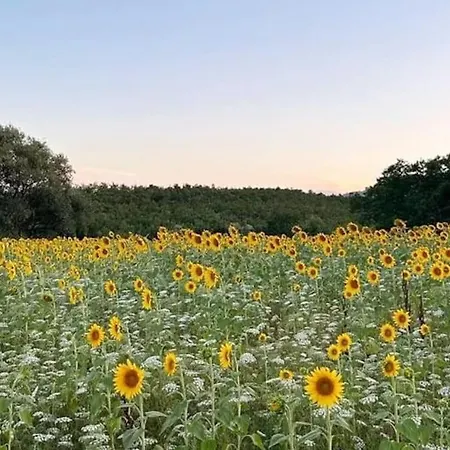 펜션 Sambuca, Splendido Giardino Nel Chianti Tavarnelle Val di Pesa