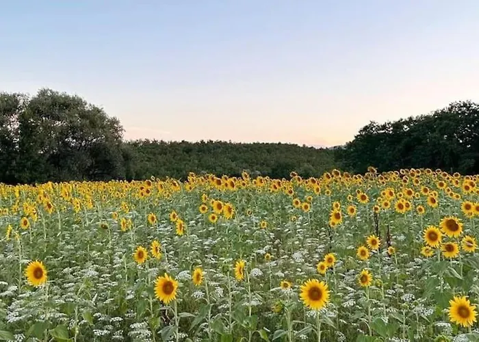 Hébergement de vacances Sambuca, Splendido Giardino Nel Chianti Tavarnelle Val di Pesa